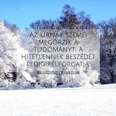 Picture 07 - Példabeszédek 22:12 KAR - Az Úrnak szemei megõrzik a tudományt; a - Bible Verse Picture