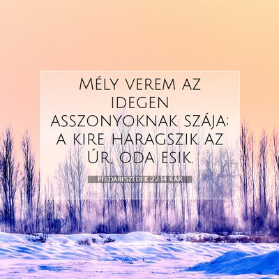 Picture 07 - Példabeszédek 22:14 KAR - Mély verem az idegen asszonyoknak szája; a kire - Bible Verse Picture