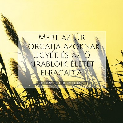 Picture 07 - Példabeszédek 22:23 KAR - Mert az Úr forgatja azoknak ügyét, és az õ - Bible Verse Picture