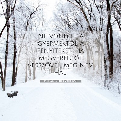 Picture 07 - Példabeszédek 23:13 KAR - Ne vond el a gyermektõl a fenyítéket; ha - Bible Verse Picture