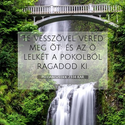 Picture 07 - Példabeszédek 23:14 KAR - Te vesszõvel vered meg õt: és az õ lelkét a - Bible Verse Picture