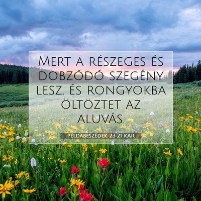Picture 07 - Példabeszédek 23:21 KAR - Mert a részeges és dobzódó szegény lesz, és - Bible Verse Picture