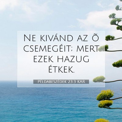 Picture 07 - Példabeszédek 23:3 KAR - Ne kivánd az õ csemegéit; mert ezek hazug - Bible Verse Picture