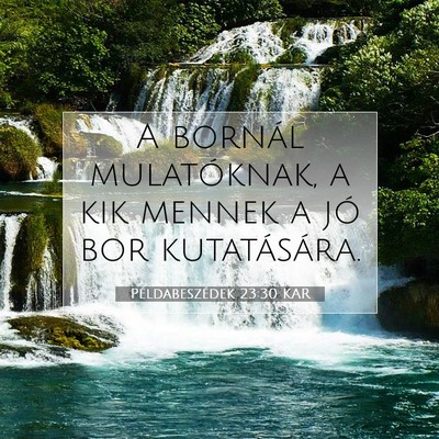 Picture 07 - Példabeszédek 23:30 KAR - A bornál mulatóknak, a kik mennek a jó bor - Bible Verse Picture