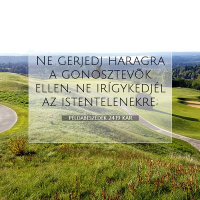 Picture 07 - Példabeszédek 24:19 KAR - Ne gerjedj haragra a gonosztevõk ellen, ne - Bible Verse Picture