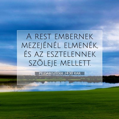 Picture 07 - Példabeszédek 24:30 KAR - A rest embernek mezejénél elmenék, és az - Bible Verse Picture