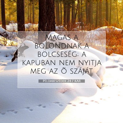 Picture 07 - Példabeszédek 24:7 KAR - Magas a bolondnak a bölcseség; a kapuban nem - Bible Verse Picture