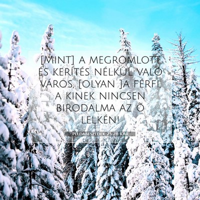 Picture 07 - Példabeszédek 25:28 KAR - [Mint] a megromlott és kerítés nélkül való - Bible Verse Picture