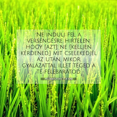 Picture 07 - Példabeszédek 25:8 KAR - Ne indulj fel a versengésre hirtelen, hogy [azt] - Bible Verse Picture