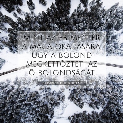 Picture 07 - Példabeszédek 26:11 KAR - Mint az eb megtér a maga okádására, úgy a - Bible Verse Picture