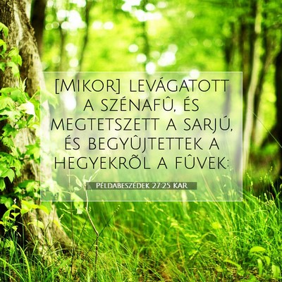 Picture 07 - Példabeszédek 27:25 KAR - [Mikor] levágatott a szénafû, és megtetszett - Bible Verse Picture