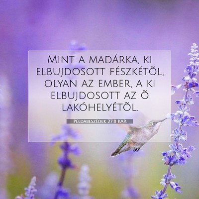 Picture 07 - Példabeszédek 27:8 KAR - Mint a madárka, ki elbujdosott fészkétõl, - Bible Verse Picture