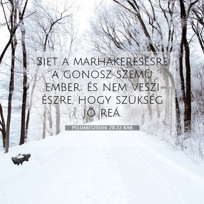 Picture 07 - Példabeszédek 28:22 KAR - Siet a marhakeresésre a gonosz szemû ember; és - Bible Verse Picture