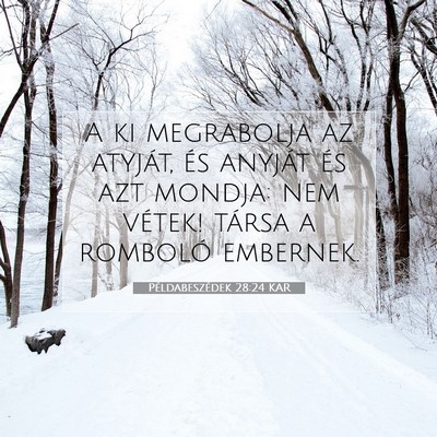 Picture 07 - Példabeszédek 28:24 KAR - A ki megrabolja az atyját, és anyját és azt - Bible Verse Picture