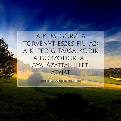 Picture 07 - Példabeszédek 28:7 KAR - A ki megõrzi a törvényt, eszes fiú az; a ki - Bible Verse Picture
