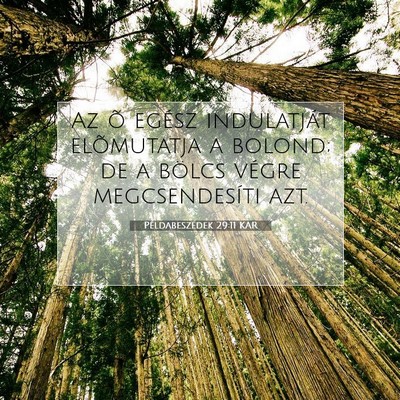 Picture 07 - Példabeszédek 29:11 KAR - Az õ egész indulatját elõmutatja a bolond; de - Bible Verse Picture