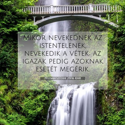Picture 07 - Példabeszédek 29:16 KAR - Mikor nevekednek az istentelenek, nevekedik a - Bible Verse Picture