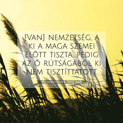 Picture 07 - Példabeszédek 30:12 KAR - [Van] nemzetség, a ki a maga szemei elõtt - Bible Verse Picture