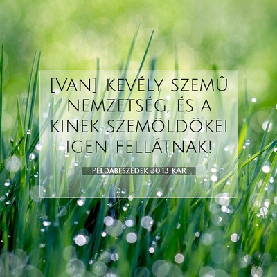Picture 07 - Példabeszédek 30:13 KAR - [Van] kevély szemû nemzetség, és a kinek - Bible Verse Picture