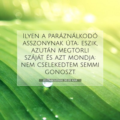 Picture 07 - Példabeszédek 30:20 KAR - Ilyen a paráználkodó asszonynak úta; eszik, - Bible Verse Picture