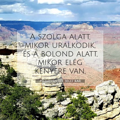 Picture 07 - Példabeszédek 30:22 KAR - A szolga alatt, mikor uralkodik, és a bolond - Bible Verse Picture