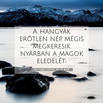 Picture 07 - Példabeszédek 30:25 KAR - A hangyák erõtlen nép, mégis megkeresik - Bible Verse Picture