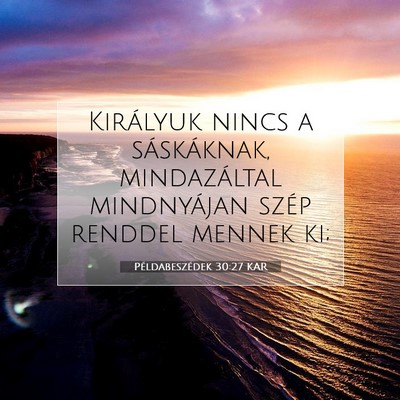 Picture 07 - Példabeszédek 30:27 KAR - Királyuk nincs a sáskáknak, mindazáltal - Bible Verse Picture