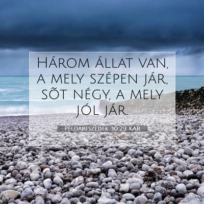 Picture 07 - Példabeszédek 30:29 KAR - Három állat van, a mely szépen jár, sõt - Bible Verse Picture