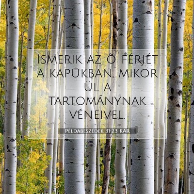 Picture 07 - Példabeszédek 31:23 KAR - Ismerik az õ férjét a kapukban, mikor ül a - Bible Verse Picture