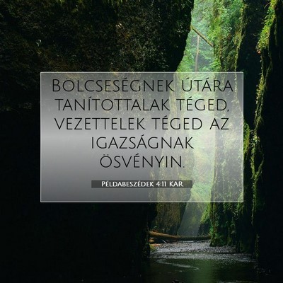 Picture 07 - Példabeszédek 4:11 KAR - Bölcseségnek útára tanítottalak téged, - Bible Verse Picture