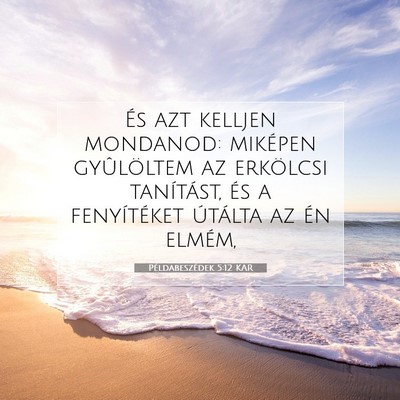 Picture 07 - Példabeszédek 5:12 KAR - És azt kelljen mondanod: miképen gyûlöltem az - Bible Verse Picture