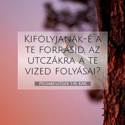 Picture 07 - Példabeszédek 5:16 KAR - Kifolyjanak-é a te forrásid, az utczákra a te - Bible Verse Picture