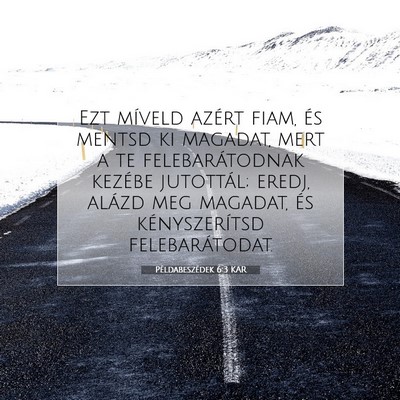 Picture 07 - Példabeszédek 6:3 KAR - Ezt míveld azért fiam, és mentsd ki magadat, - Bible Verse Picture