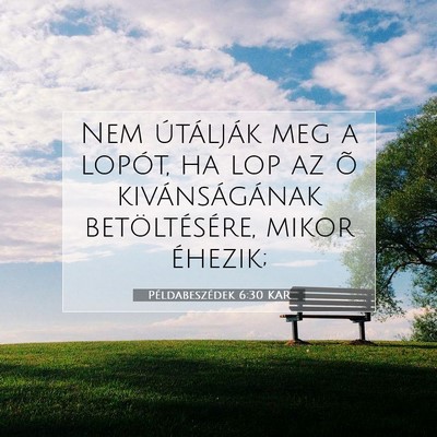 Picture 07 - Példabeszédek 6:30 KAR - Nem útálják meg a lopót, ha lop az õ - Bible Verse Picture