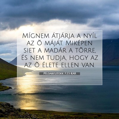 Picture 07 - Példabeszédek 7:23 KAR - Mígnem átjárja a nyíl az õ máját. Miképen - Bible Verse Picture