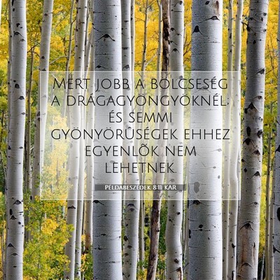 Picture 07 - Példabeszédek 8:11 KAR - Mert jobb a bölcseség a drágagyöngyöknél; - Bible Verse Picture