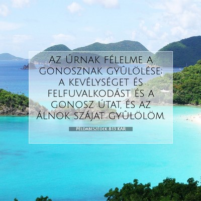 Picture 07 - Példabeszédek 8:13 KAR - Az Úrnak félelme a gonosznak gyûlölése; a - Bible Verse Picture