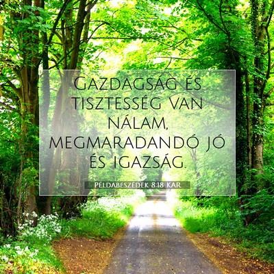 Picture 07 - Példabeszédek 8:18 KAR - Gazdagság és tisztesség van nálam, - Bible Verse Picture