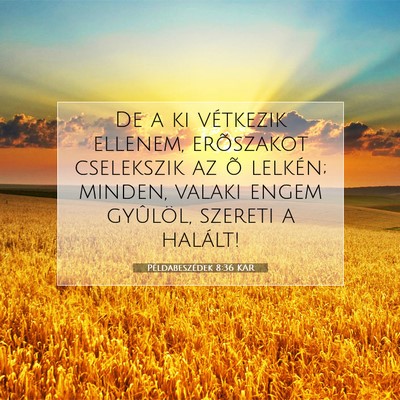 Picture 07 - Példabeszédek 8:36 KAR - De a ki vétkezik ellenem, erõszakot cselekszik - Bible Verse Picture
