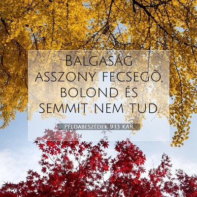 Picture 07 - Példabeszédek 9:13 KAR - Balgaság asszony fecsegõ, bolond és semmit nem - Bible Verse Picture
