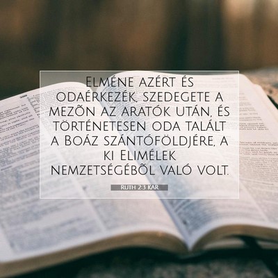 Picture 07 - Ruth 2:3 KAR - Elméne azért és odaérkezék, szedegete a - Bible Verse Picture
