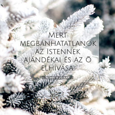 Picture 07 - Róma 11:29 KAR - Mert megbánhatatlanok az Istennek ajándékai - Bible Verse Picture