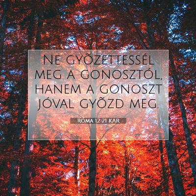Picture 07 - Róma 12:21 KAR - Ne gyõzettessél meg a gonosztól, hanem a - Bible Verse Picture