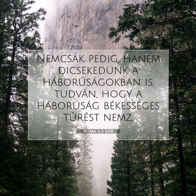 Picture 07 - Róma 5:3 KAR - Nemcsak pedig, hanem dicsekedünk a - Bible Verse Picture