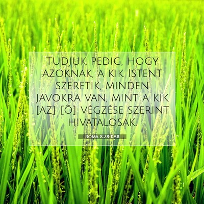 Picture 07 - Róma 8:28 KAR - Tudjuk pedig, hogy azoknak, a kik Istent - Bible Verse Picture