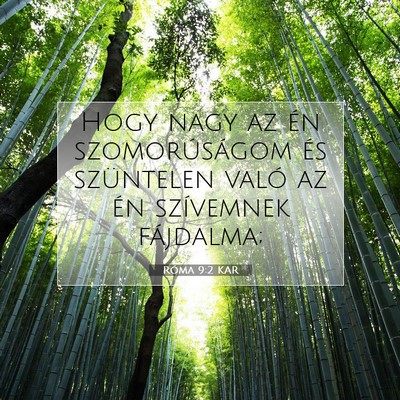Picture 07 - Róma 9:2 KAR - Hogy nagy az én szomorúságom és szüntelen - Bible Verse Picture