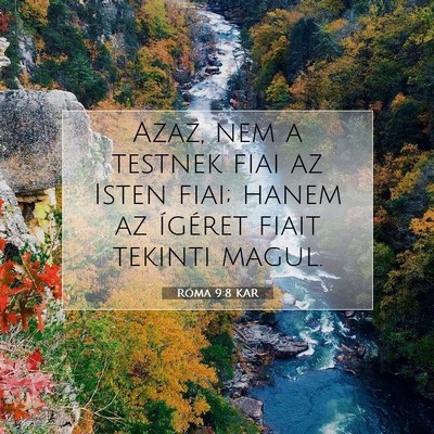 Picture 07 - Róma 9:8 KAR - Azaz, nem a testnek fiai az Isten fiai; hanem az - Bible Verse Picture