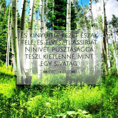 Picture 07 - Sofóniás 2:13 KAR - És kinyújtja kezét észak felé, és elveszti - Bible Verse Picture