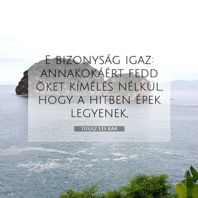 Picture 07 - Titusz 1:13 KAR - E bizonyság igaz: annakokáért fedd õket - Bible Verse Picture