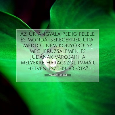 Picture 07 - Zakariás 1:12 KAR - Az Úr angyala pedig felele, és mondá: - Bible Verse Picture